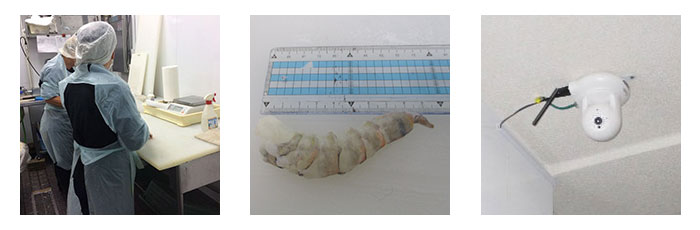 丸紀商店はカメラも設置。衛生に配慮し清潔な環境で迅速、丁寧な調理(鮮度を落とさない)